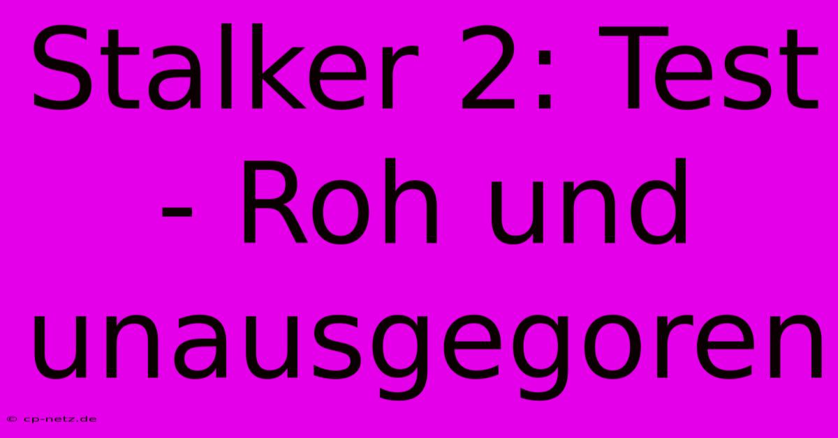 Stalker 2: Test - Roh Und Unausgegoren