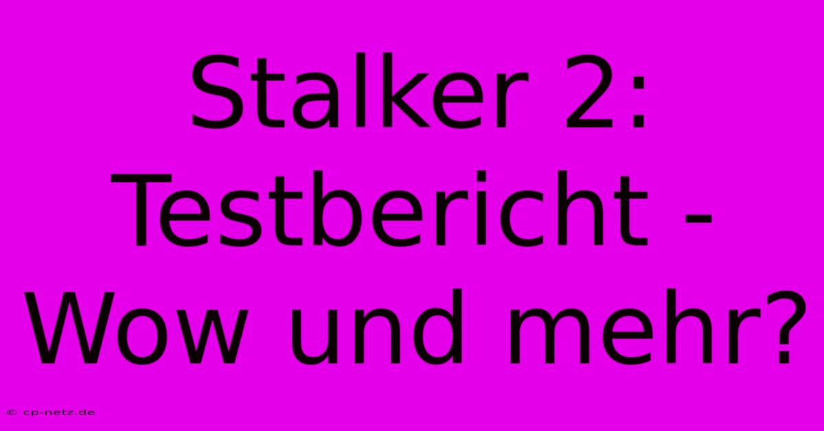 Stalker 2: Testbericht - Wow Und Mehr?