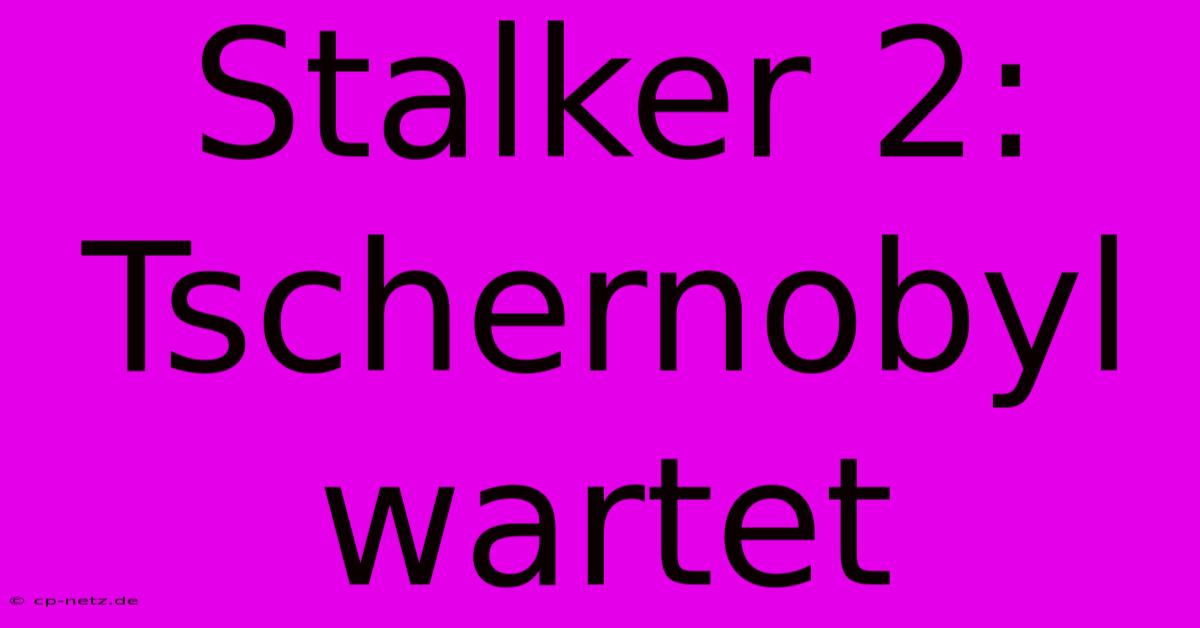 Stalker 2:  Tschernobyl Wartet