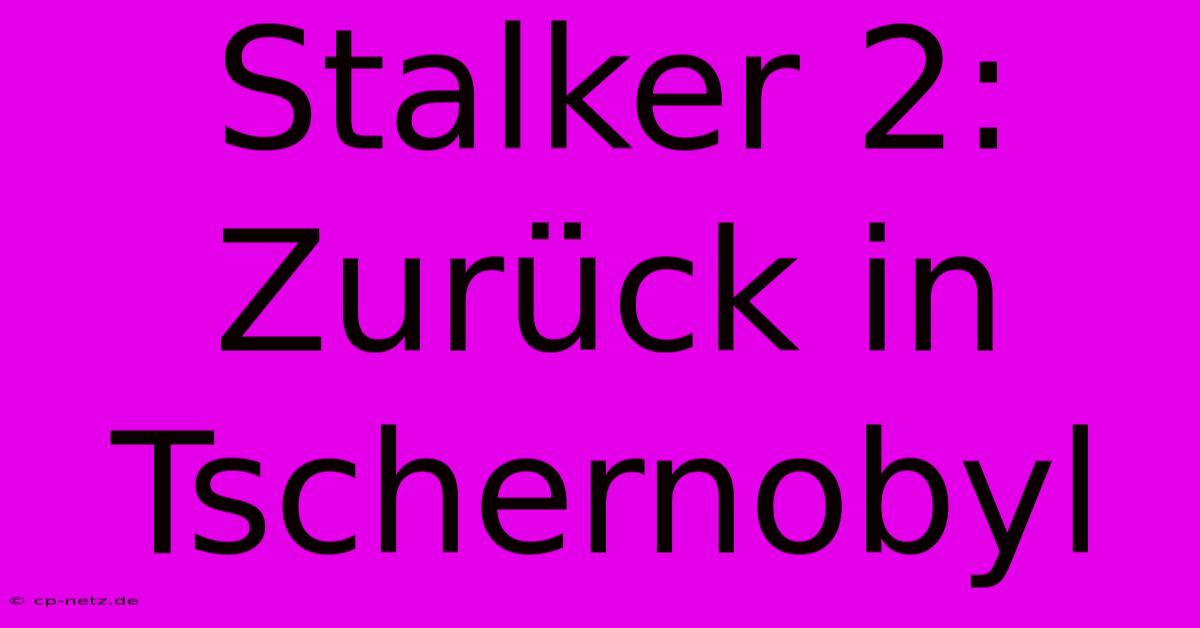 Stalker 2:  Zurück In Tschernobyl