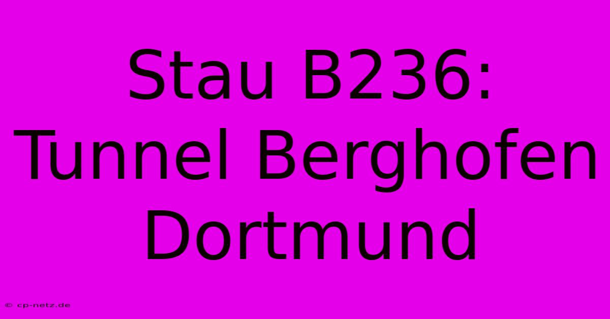 Stau B236: Tunnel Berghofen Dortmund