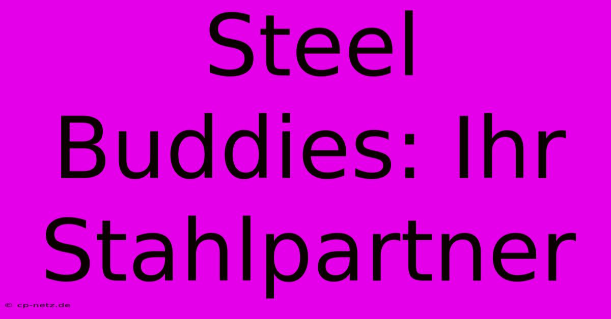 Steel Buddies: Ihr Stahlpartner