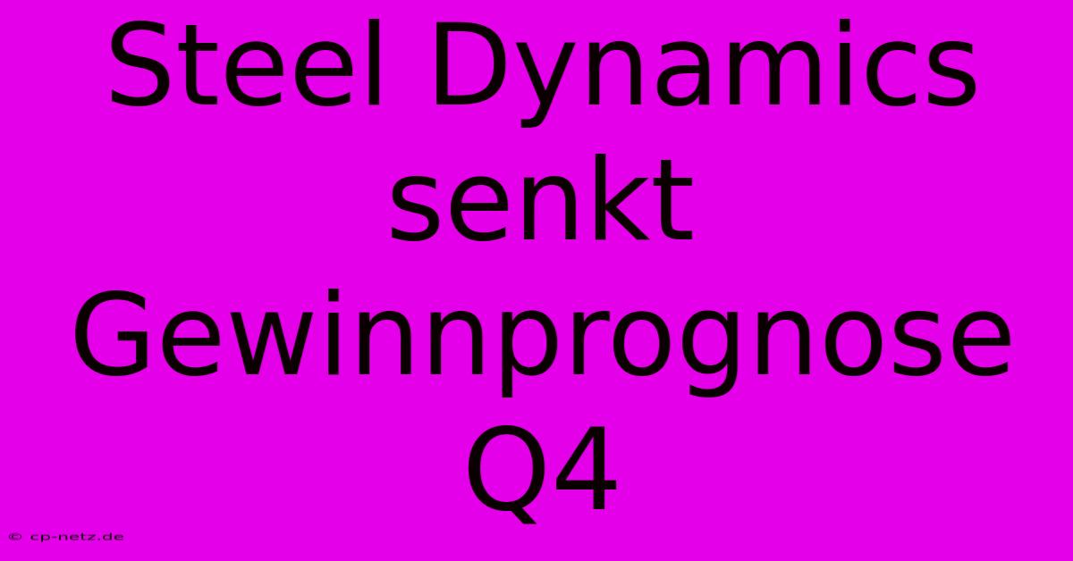 Steel Dynamics Senkt Gewinnprognose Q4