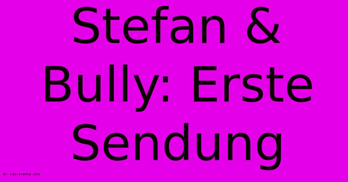 Stefan & Bully: Erste Sendung