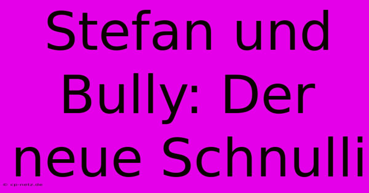 Stefan Und Bully: Der Neue Schnulli