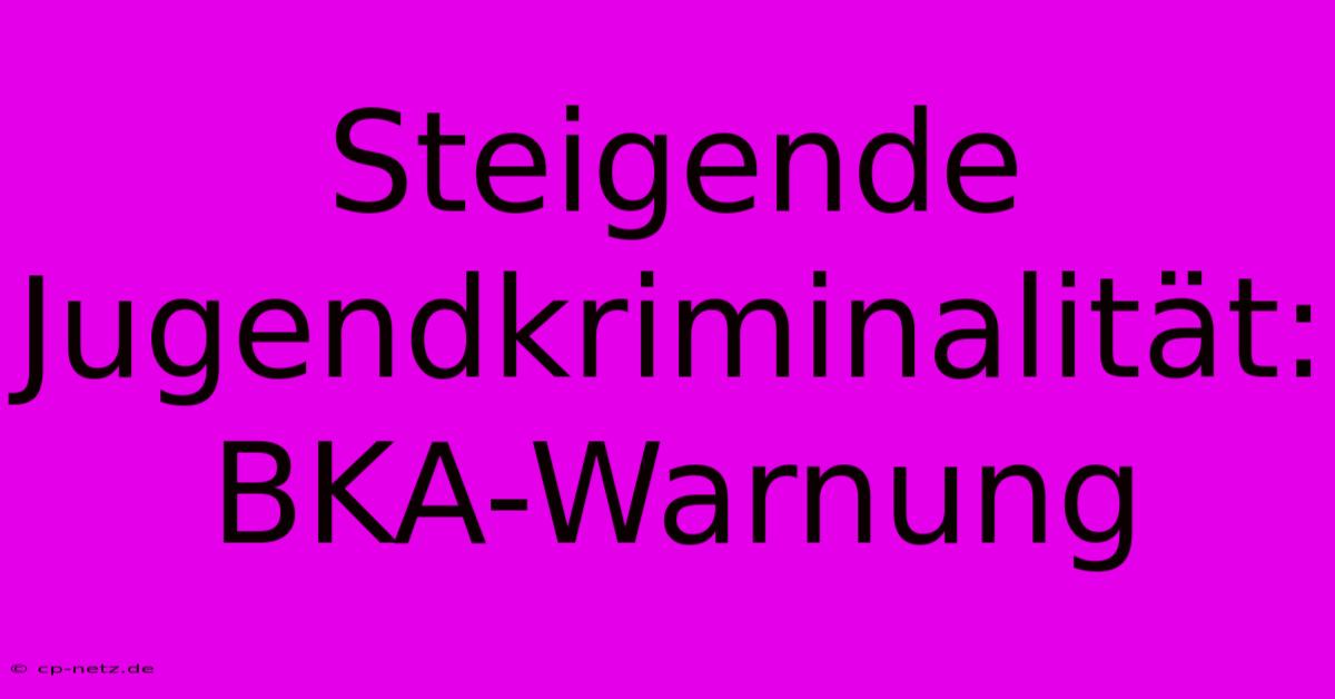 Steigende Jugendkriminalität: BKA-Warnung