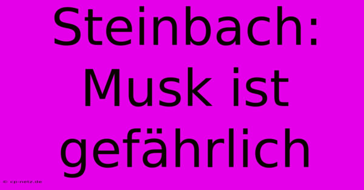 Steinbach: Musk Ist Gefährlich