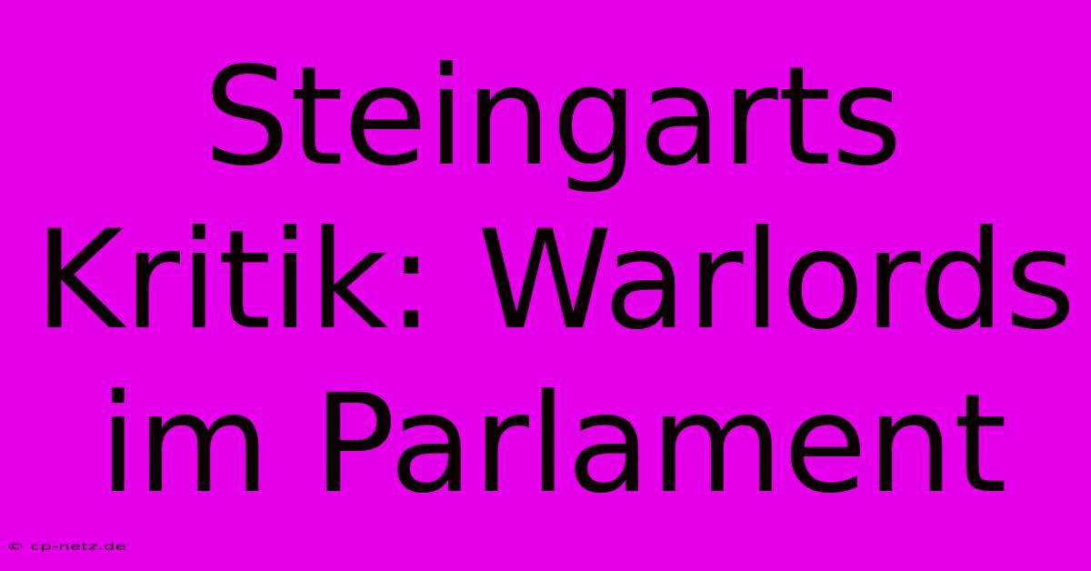 Steingarts Kritik: Warlords Im Parlament