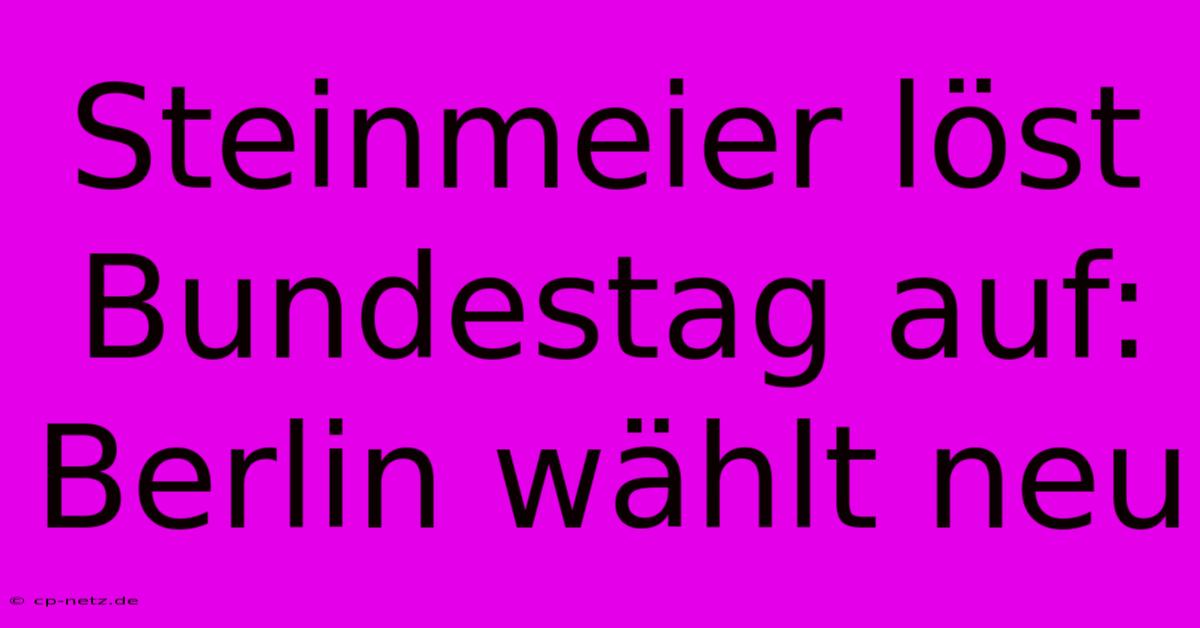 Steinmeier Löst Bundestag Auf: Berlin Wählt Neu