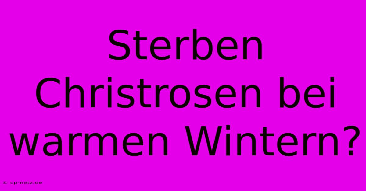 Sterben Christrosen Bei Warmen Wintern?