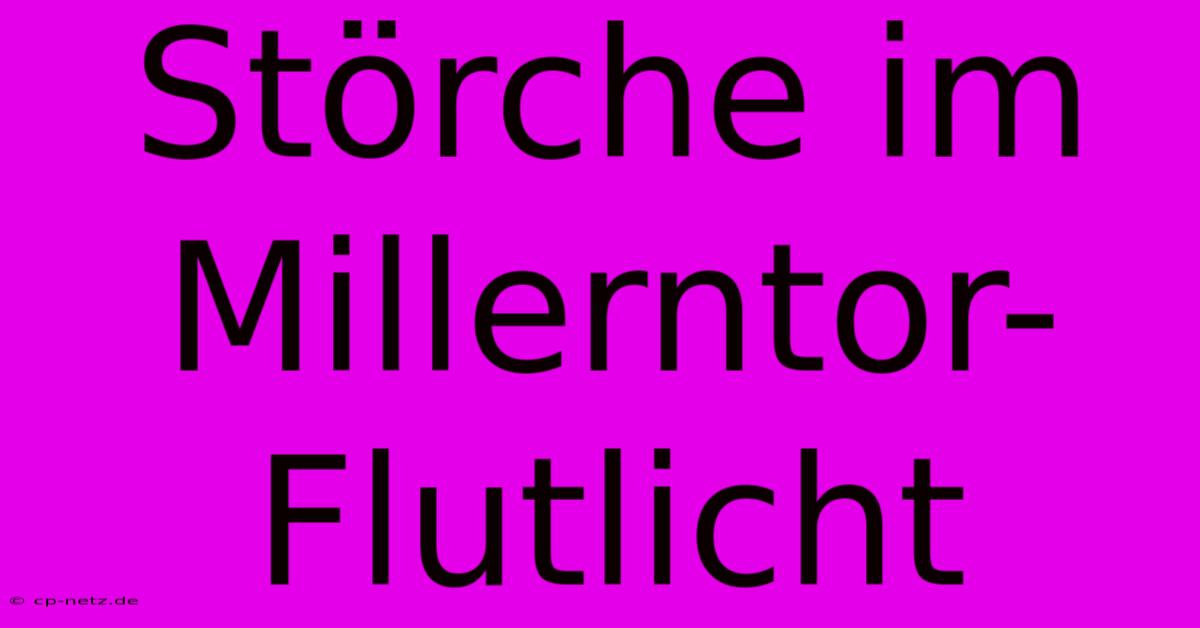 Störche Im Millerntor-Flutlicht