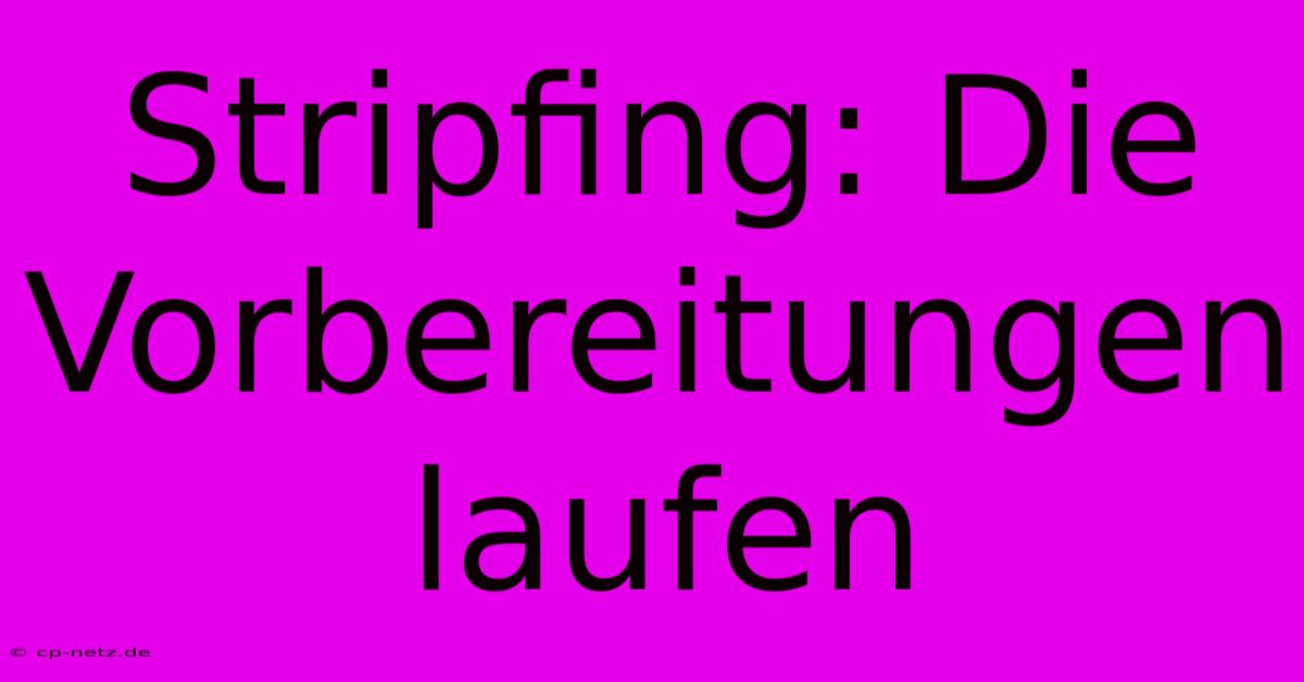 Stripfing: Die Vorbereitungen Laufen