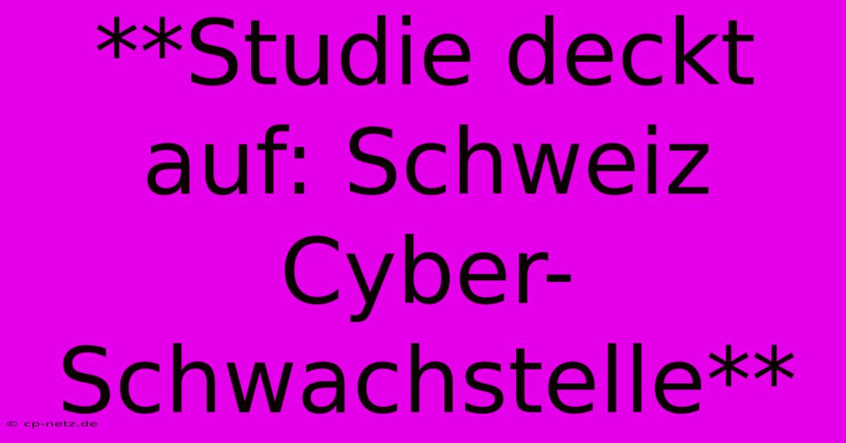 **Studie Deckt Auf: Schweiz Cyber-Schwachstelle**