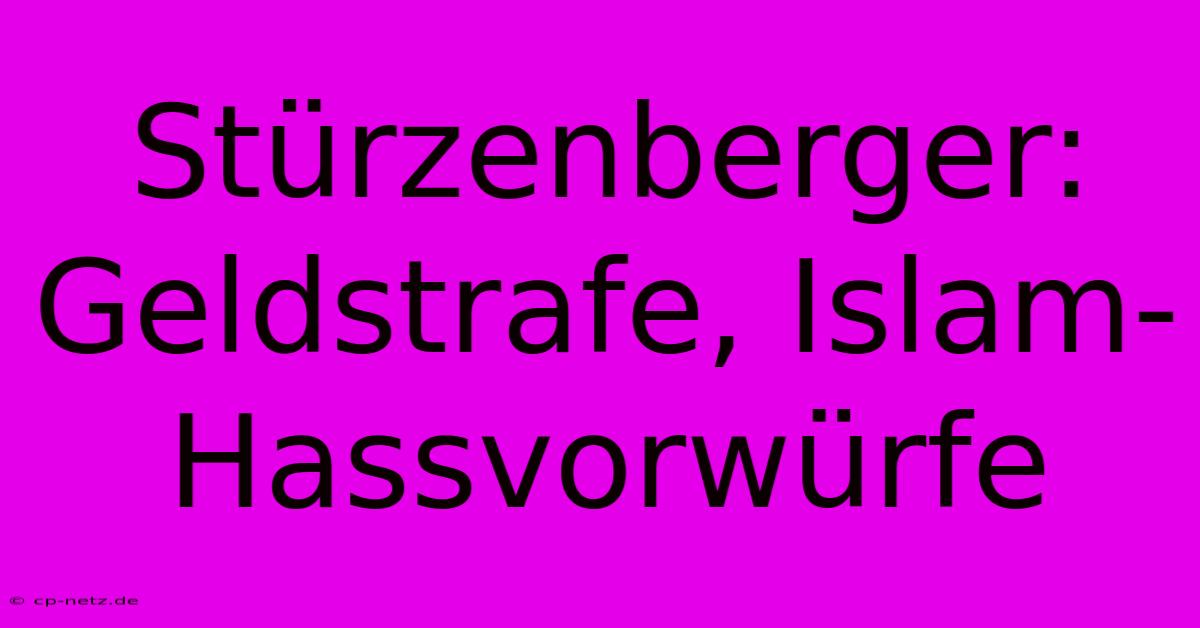 Stürzenberger: Geldstrafe, Islam-Hassvorwürfe