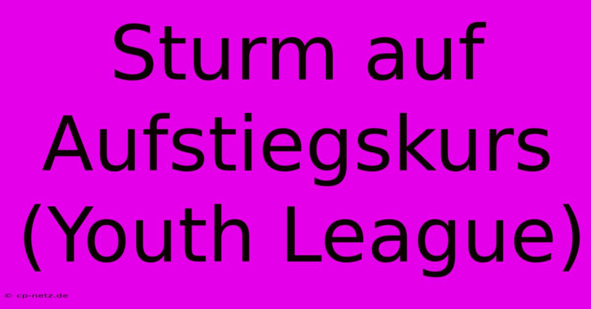 Sturm Auf Aufstiegskurs (Youth League)