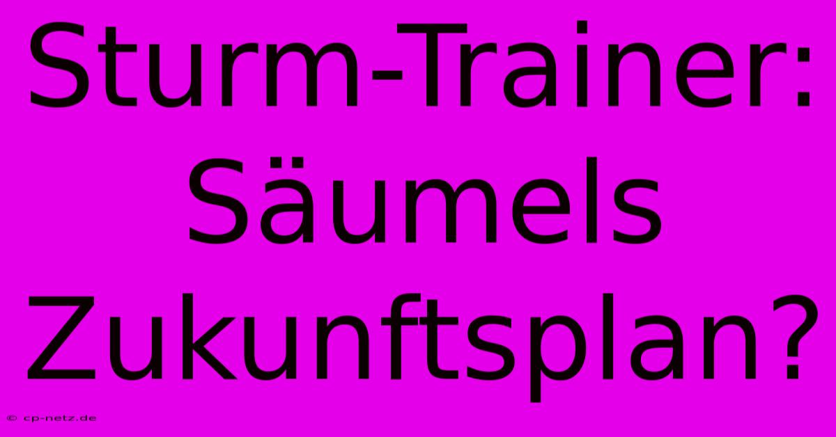 Sturm-Trainer: Säumels Zukunftsplan?