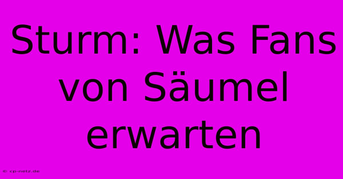 Sturm: Was Fans Von Säumel Erwarten