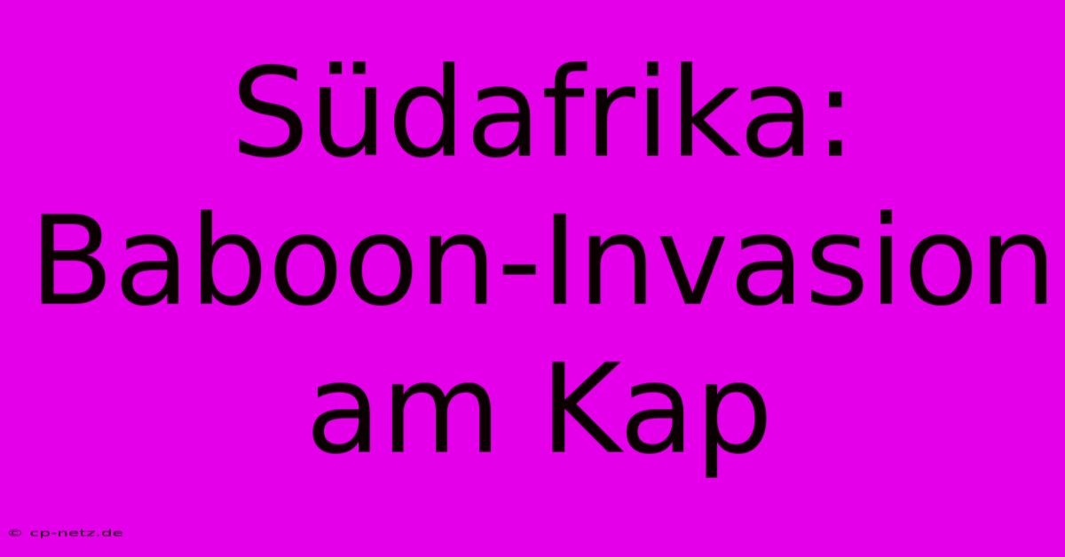 Südafrika: Baboon-Invasion Am Kap