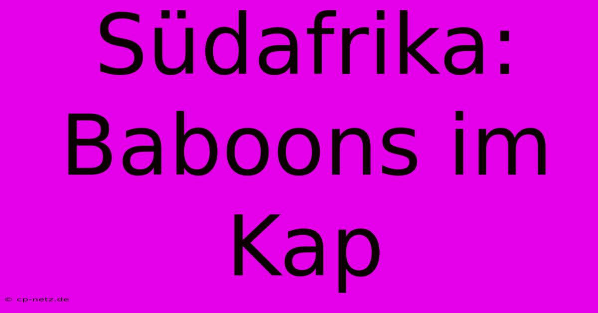 Südafrika: Baboons Im Kap