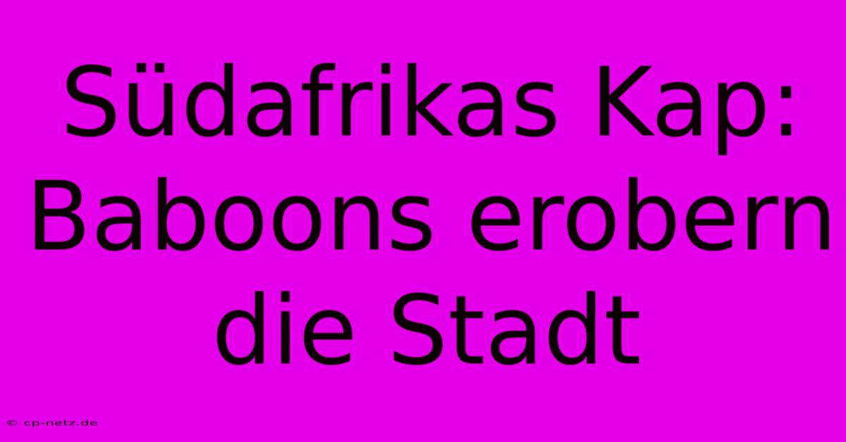 Südafrikas Kap: Baboons Erobern Die Stadt