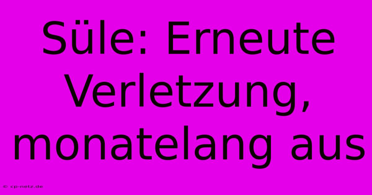 Süle: Erneute Verletzung, Monatelang Aus