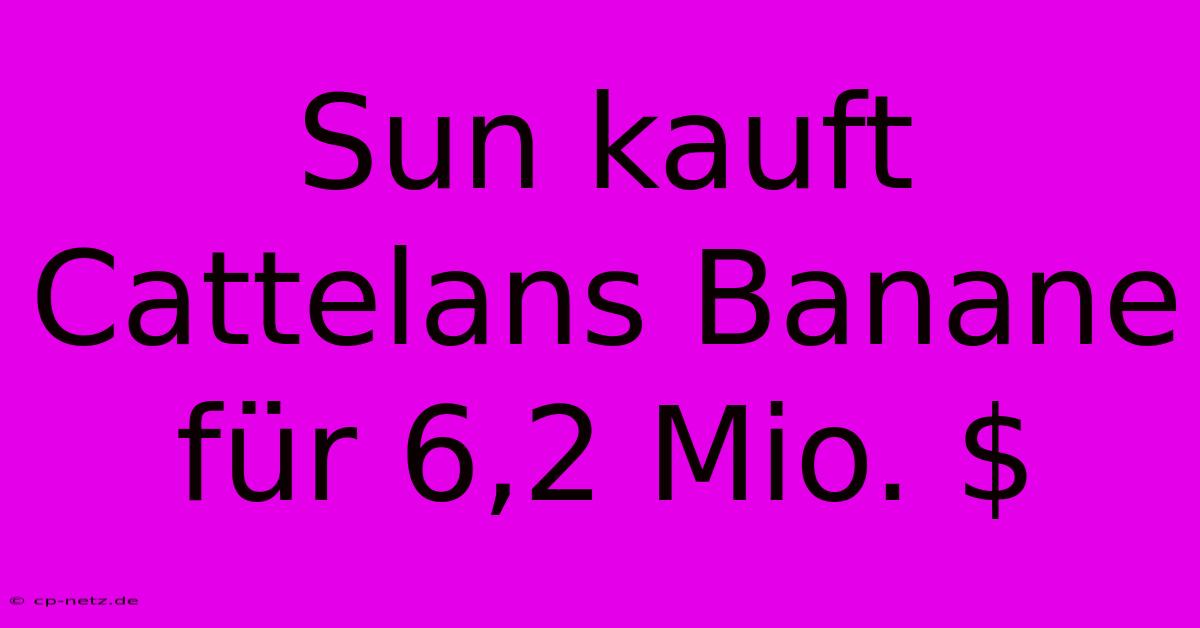 Sun Kauft Cattelans Banane Für 6,2 Mio. $