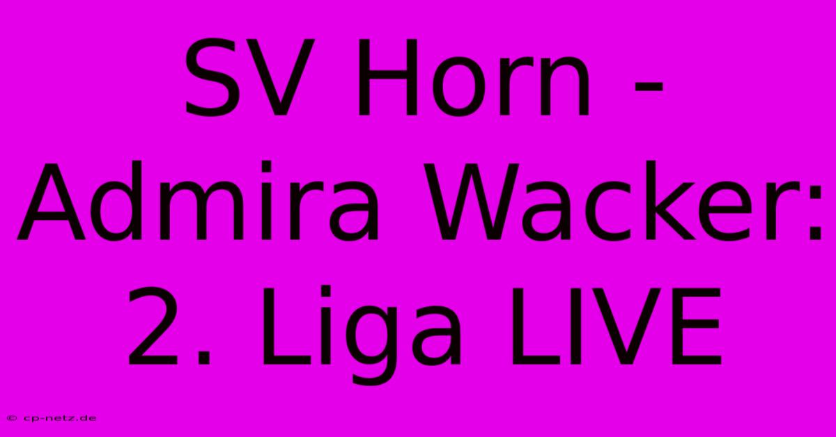 SV Horn - Admira Wacker: 2. Liga LIVE