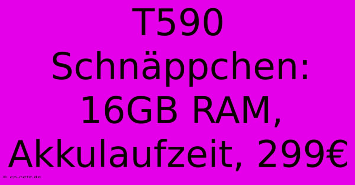 T590 Schnäppchen: 16GB RAM, Akkulaufzeit, 299€