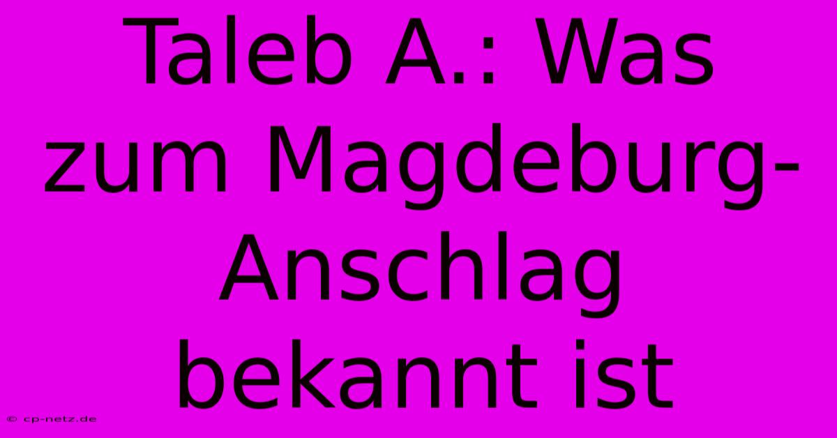 Taleb A.: Was Zum Magdeburg-Anschlag Bekannt Ist