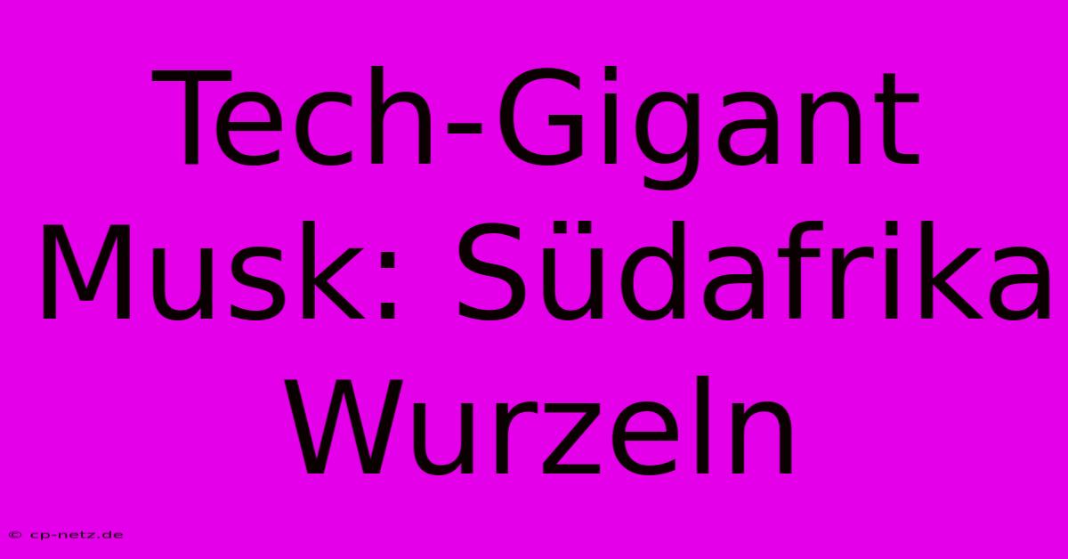 Tech-Gigant Musk: Südafrika Wurzeln