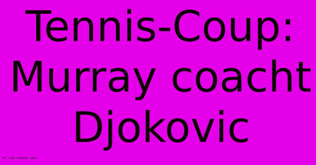 Tennis-Coup: Murray Coacht Djokovic