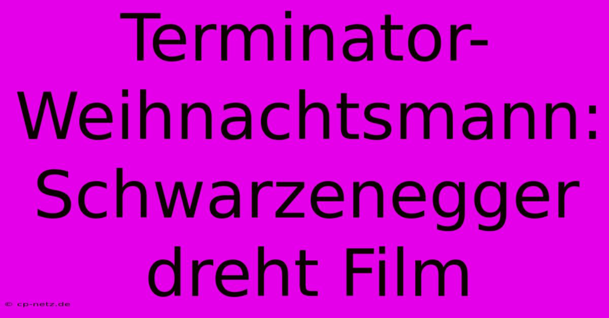 Terminator-Weihnachtsmann: Schwarzenegger Dreht Film