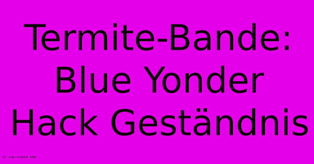 Termite-Bande: Blue Yonder Hack Geständnis