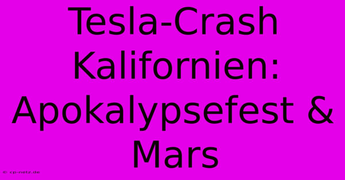 Tesla-Crash Kalifornien: Apokalypsefest & Mars