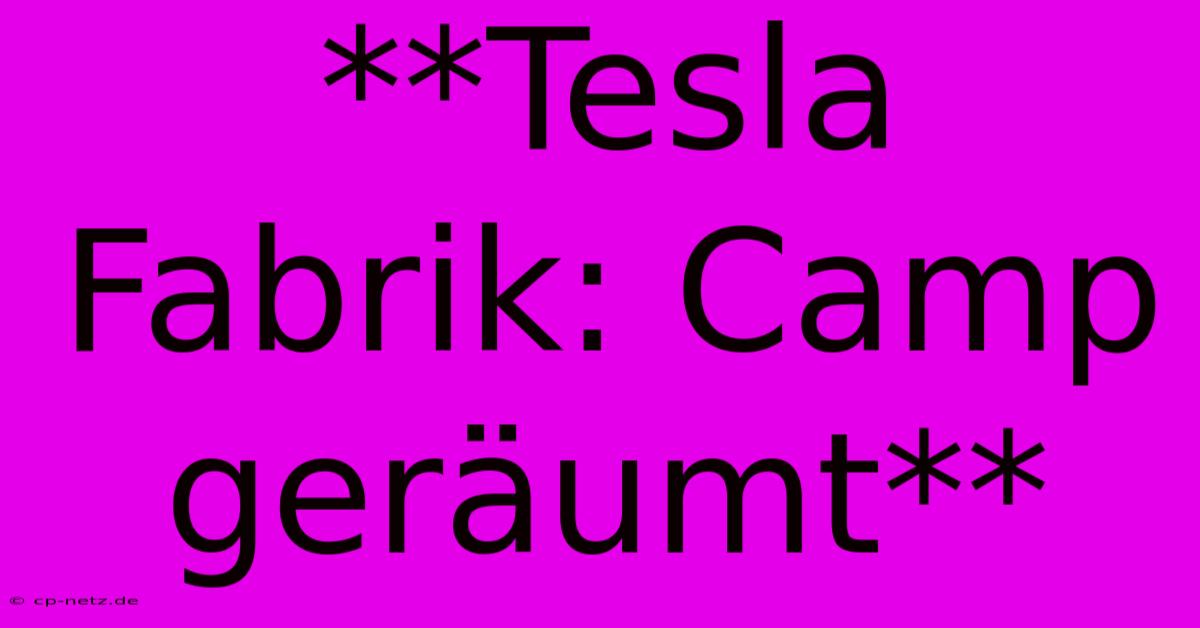 **Tesla Fabrik: Camp Geräumt**