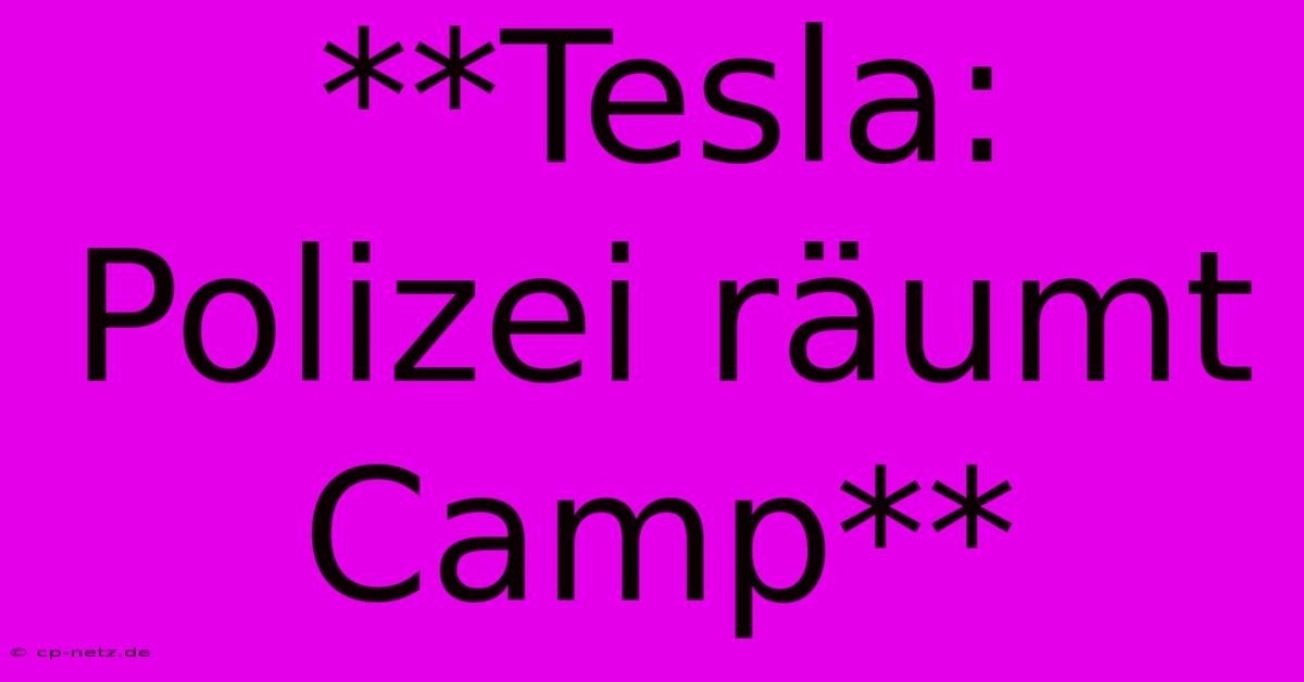 **Tesla: Polizei Räumt Camp**