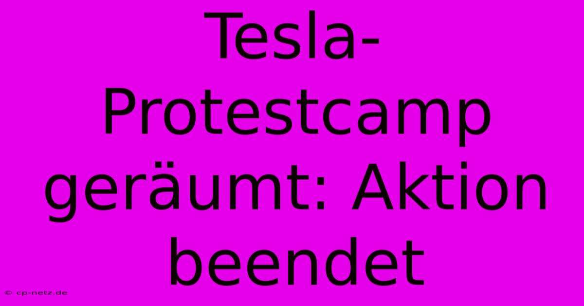 Tesla-Protestcamp Geräumt: Aktion Beendet