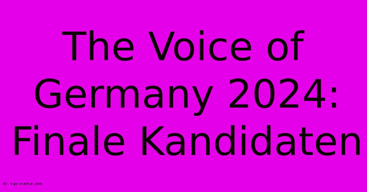 The Voice Of Germany 2024: Finale Kandidaten