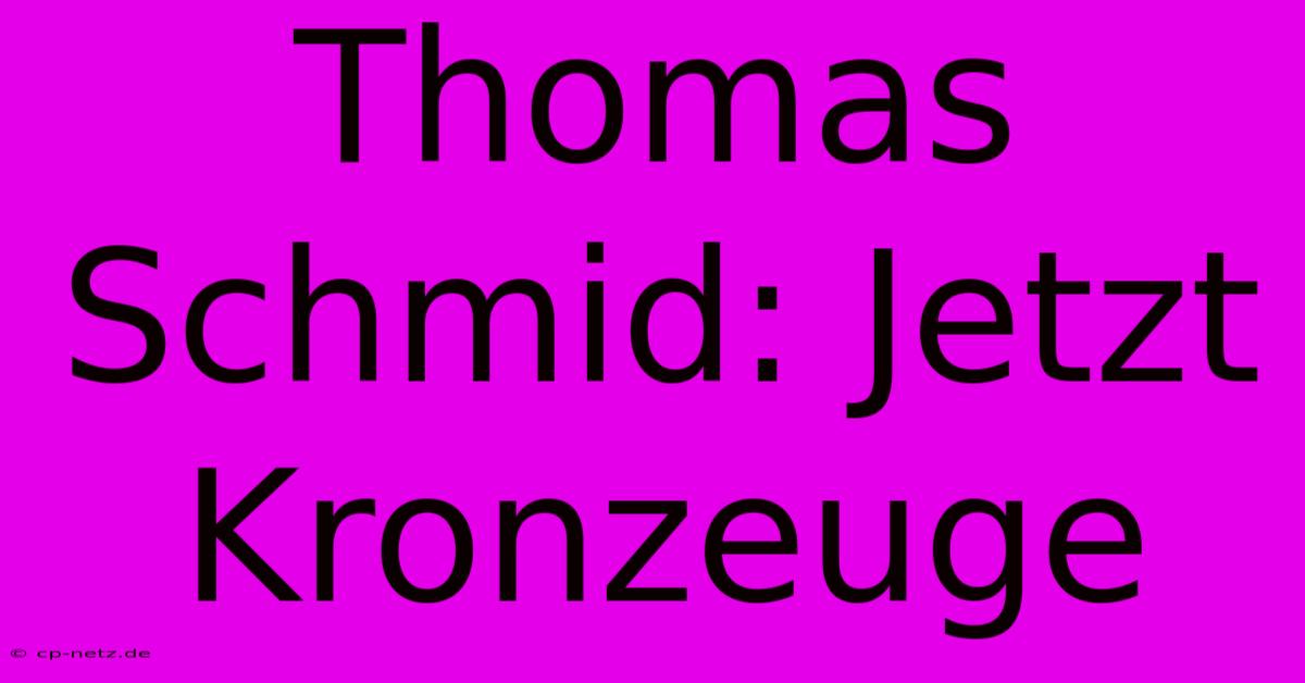 Thomas Schmid: Jetzt Kronzeuge