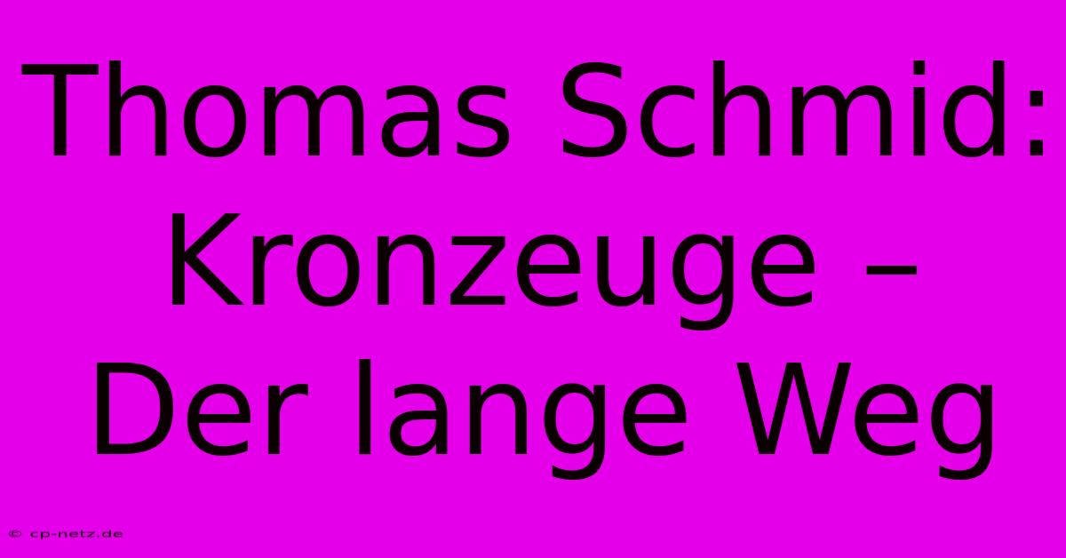 Thomas Schmid: Kronzeuge – Der Lange Weg