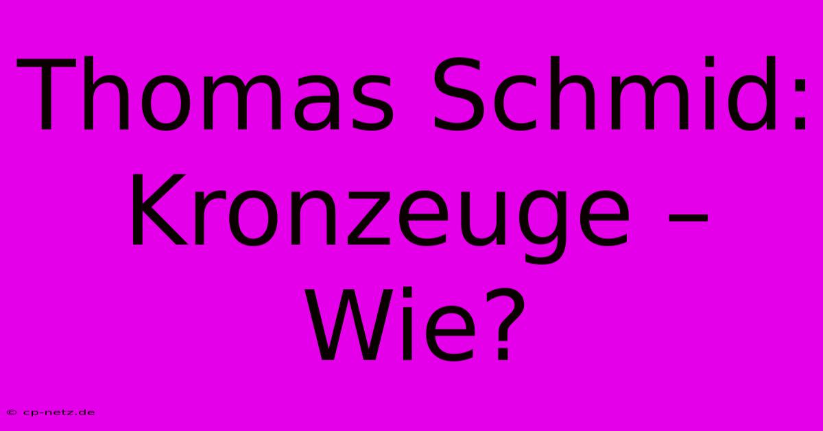 Thomas Schmid: Kronzeuge – Wie?