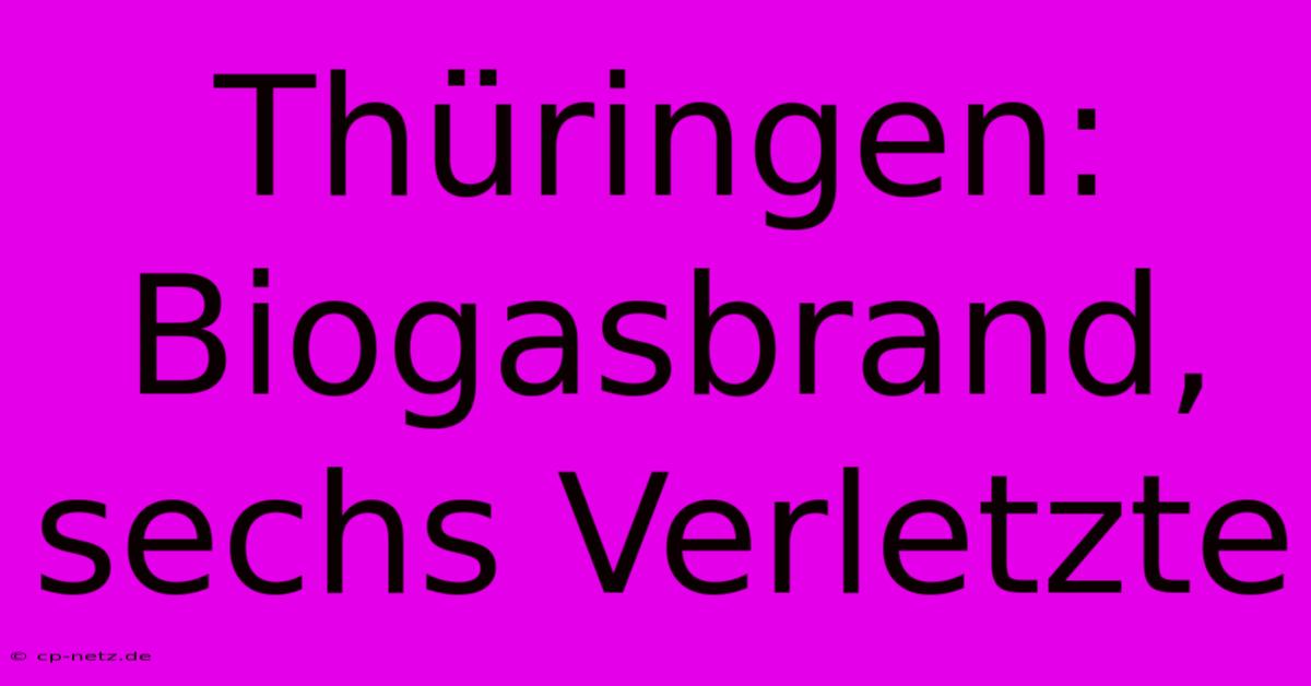 Thüringen: Biogasbrand, Sechs Verletzte