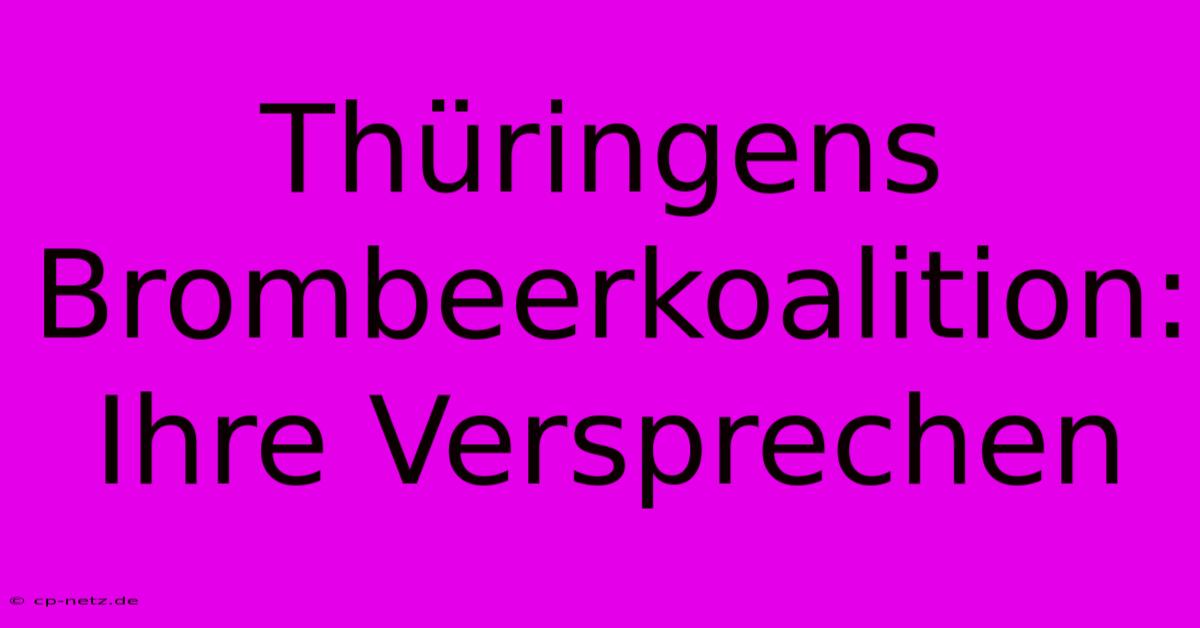 Thüringens Brombeerkoalition: Ihre Versprechen