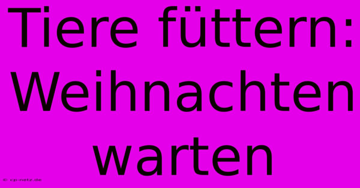 Tiere Füttern: Weihnachten Warten