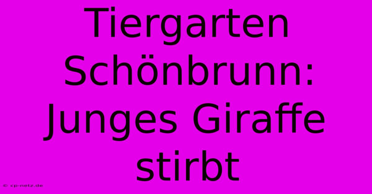 Tiergarten Schönbrunn: Junges Giraffe Stirbt