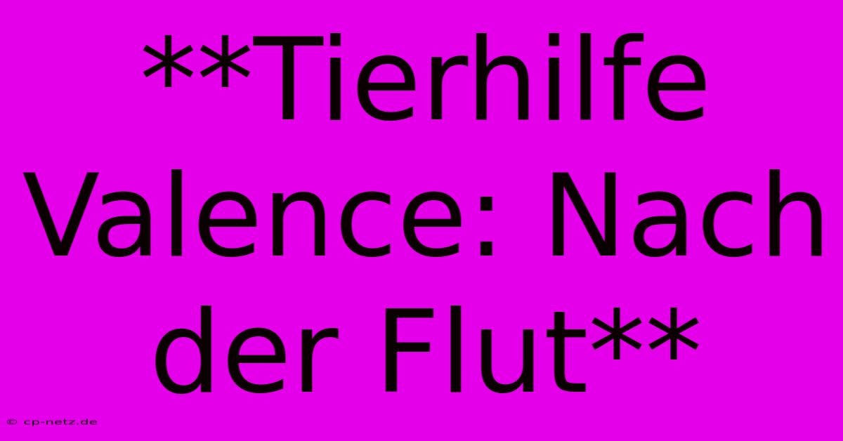 **Tierhilfe Valence: Nach Der Flut**