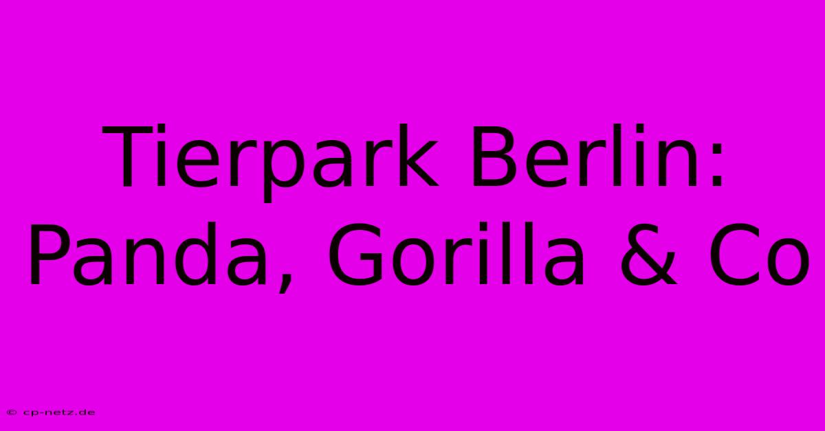 Tierpark Berlin: Panda, Gorilla & Co