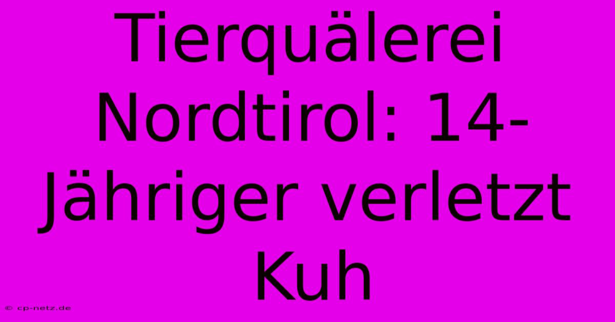 Tierquälerei Nordtirol: 14-Jähriger Verletzt Kuh