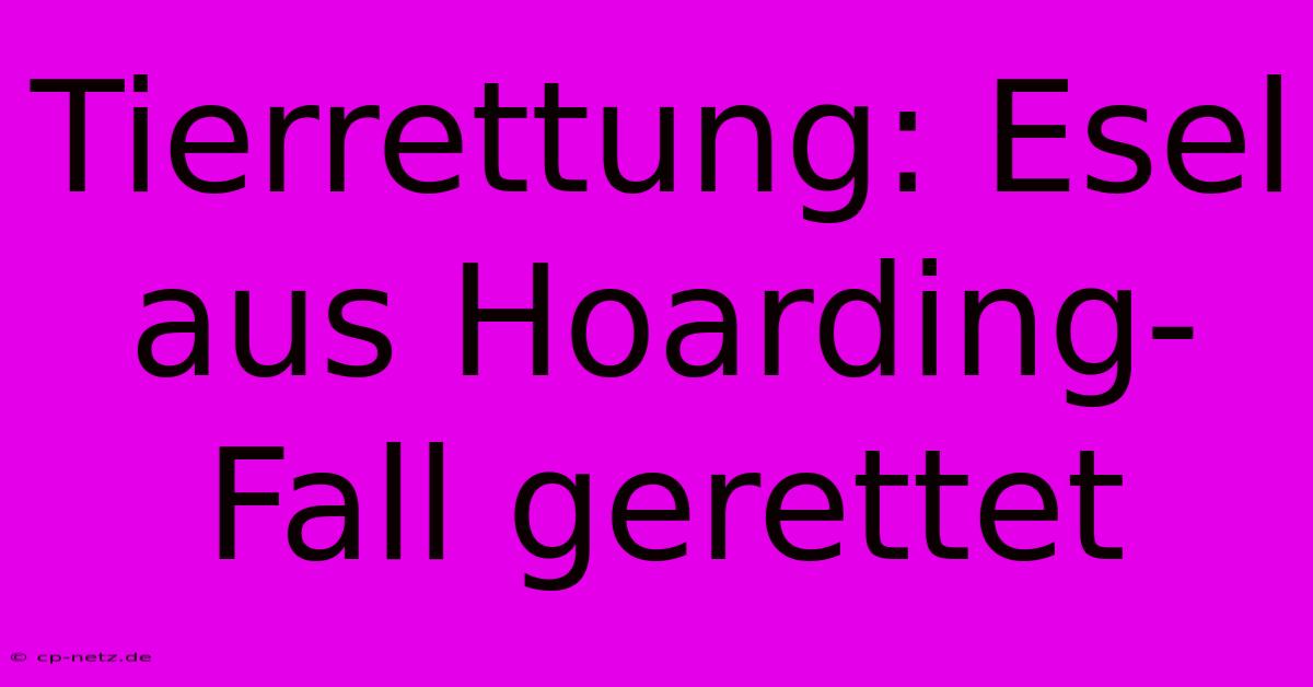 Tierrettung: Esel Aus Hoarding-Fall Gerettet