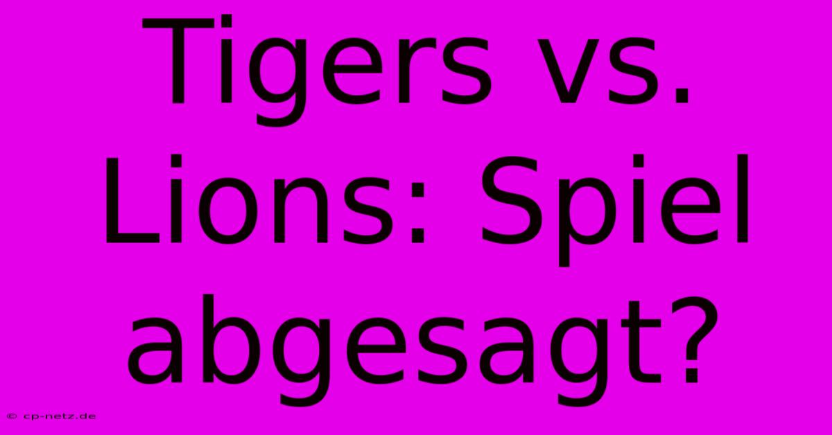 Tigers Vs. Lions: Spiel Abgesagt?